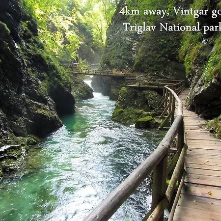 Guest House Jesenice *